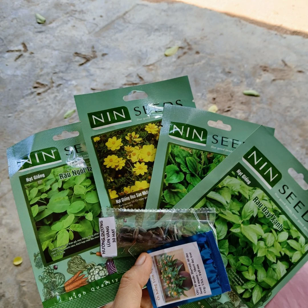 Hạt giống rau ngót ta 1gr | Giống F1